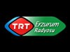 TRT Erzurum Radio