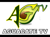 Aguacate TV