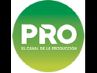 Canal Pro Live Watch