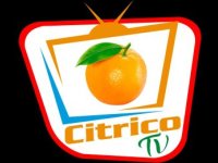 Citrico TV Live Watch