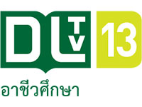 DLTV 13