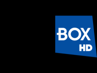 FightBox