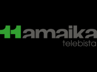 Hamaika Telebista