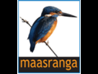 Maasranga TV