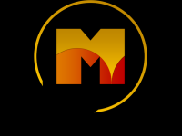 MegaVision TV