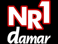 Number 1 Damar