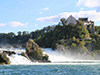 Rhine Falls Live