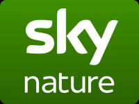 Sky Nature