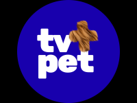 TV+Pet